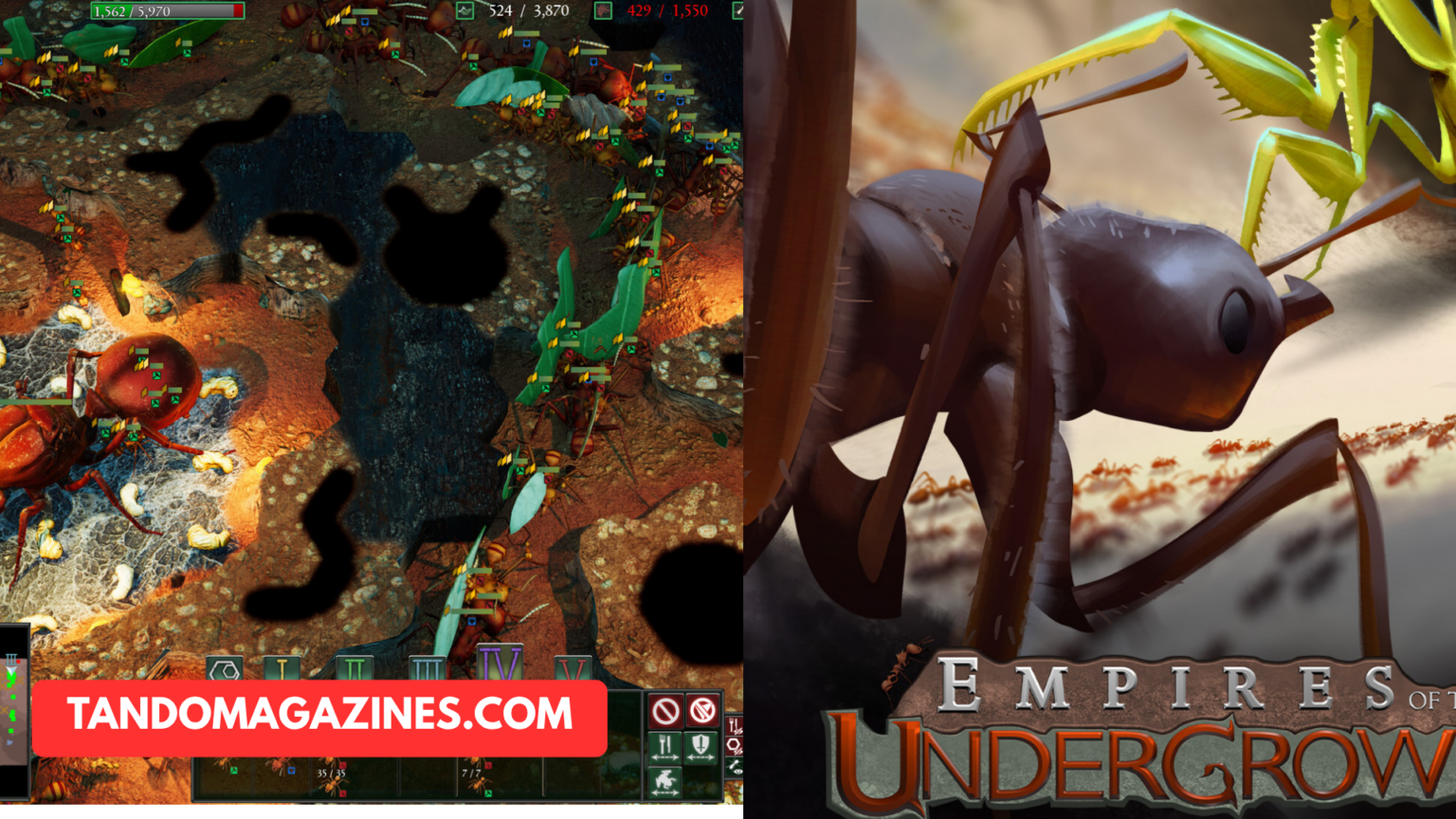 Undergrowth Games