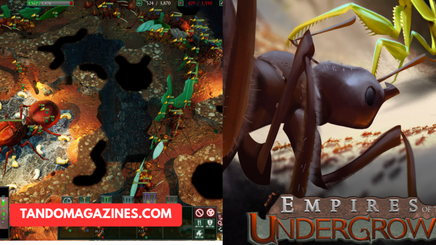 Undergrowth Games